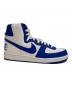NIKE (ナイキ) Terminator High 