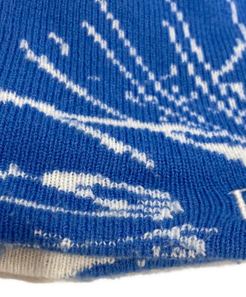 BoTT（ボット）BoTT (ボット) Shattered Skull Cap Beanie ブルー サイズ:-の古着・服飾アイテム