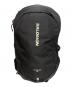SALOMON（サロモン）の古着「TRAILBLAZER 20 BACKPACK バックパック 」｜ブラック