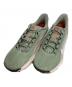 NIKE ACG（ナイキエーシージー）の古着「Pegasus Trail 'Jade Horizon Light Silver'」｜グリーン