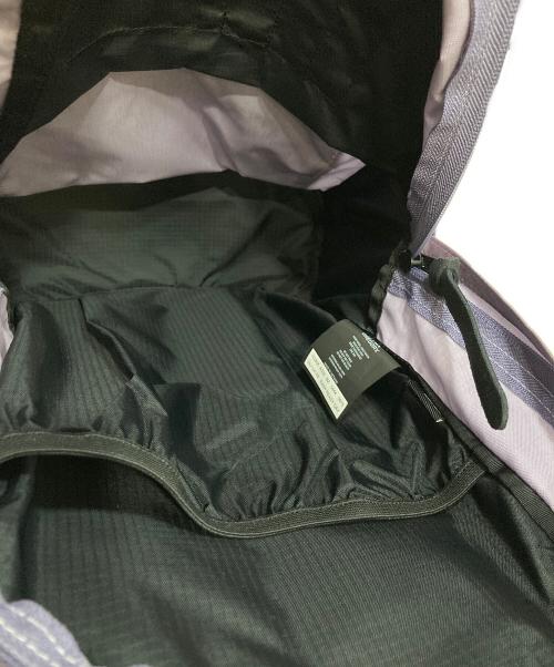 GREGORY（グレゴリー）GREGORY (グレゴリー) EASY PEASY DAY ピンク サイズ:-の古着・服飾アイテム