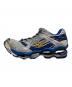 MIZUNO (ミズノ) WAVE PROPHECY 1 ブルー サイズ:28：20000円