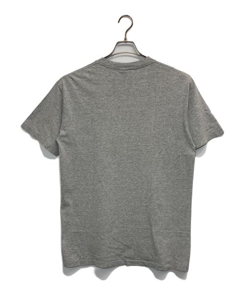 stussy（ステューシー）stussy (ステューシー) プリントTシャツ グレー サイズ:LARGEの古着・服飾アイテム