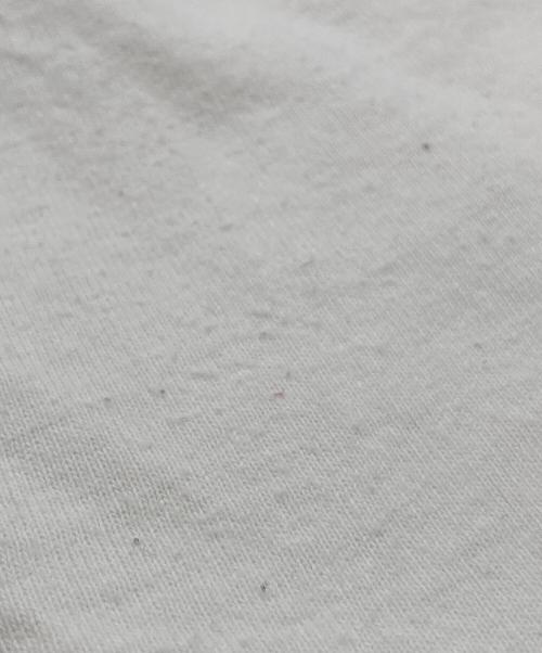 stussy（ステューシー）stussy (ステューシー) ハイビスカスプリントTシャツ ホワイト サイズ:Lの古着・服飾アイテム