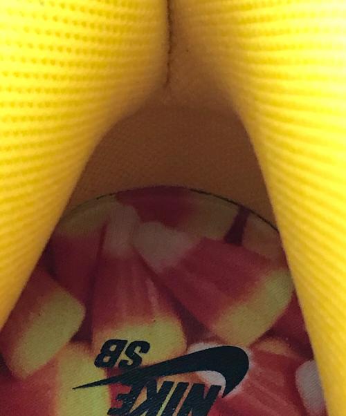 NIKE SB（ナイキエスビー）NIKE SB (ナイキエスビー) Dunk High Pro 