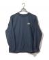 THE NORTHFACE PURPLELABEL（ザ・ノースフェイス パープルレーベル）の古着「L/S Graphic Woven Tee」｜ブルー