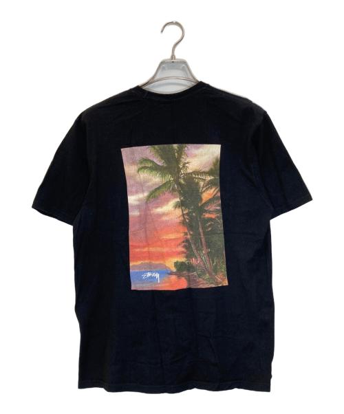 stussy（ステューシー）stussy (ステューシー) ISLE O DREAMS PHOTO TEE ブラック サイズ:Mの古着・服飾アイテム
