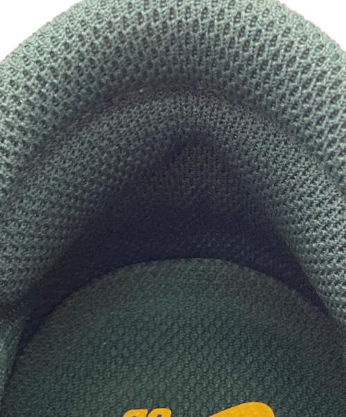 NIKE SB（ナイキエスビー）NIKE SB (ナイキエスビー) Dunk Low PRM レッド×グリーン サイズ:27.5の古着・服飾アイテム