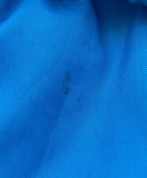 Champion（チャンピオン）Champion (チャンピオン) 60sナイロンジャケット スカイブルー サイズ:Lの古着・服飾アイテム