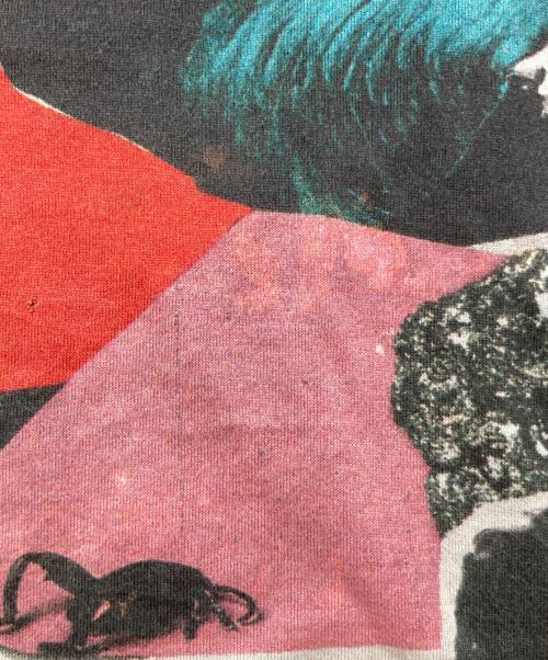 PAUL SMITH（ポールスミス）Paul Smith (ポールスミス) ROSE COLLAGE PRINT T-SHIRT ブラック サイズ:MEDIUMの古着・服飾アイテム