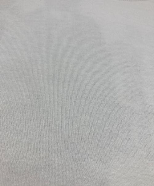 stussy（ステューシー）stussy (ステューシー) プリントTシャツ ホワイト サイズ:Ⅿの古着・服飾アイテム