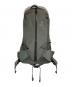 ARC'TERYX（アークテリクス）の古着「Arro 22 Backpack/28718-128621」｜グレー