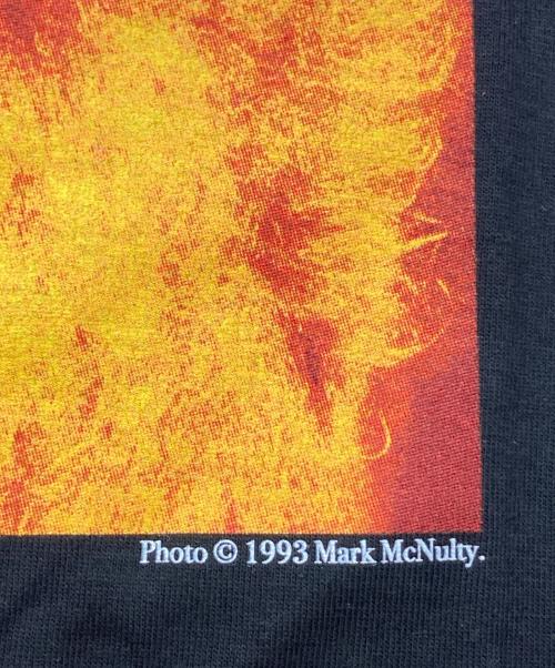 JOURNAL STANDARD（ジャーナルスタンダード）JOURNAL STANDARD (ジャーナルスタンダード) Mark Mcnulty プリントTシャツ ブラック サイズ:Mの古着・服飾アイテム