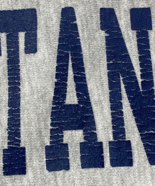 Champion（チャンピオン）Champion (チャンピオン) ボロリバースウィーブスウェット グレー サイズ:Ｌの古着・服飾アイテム