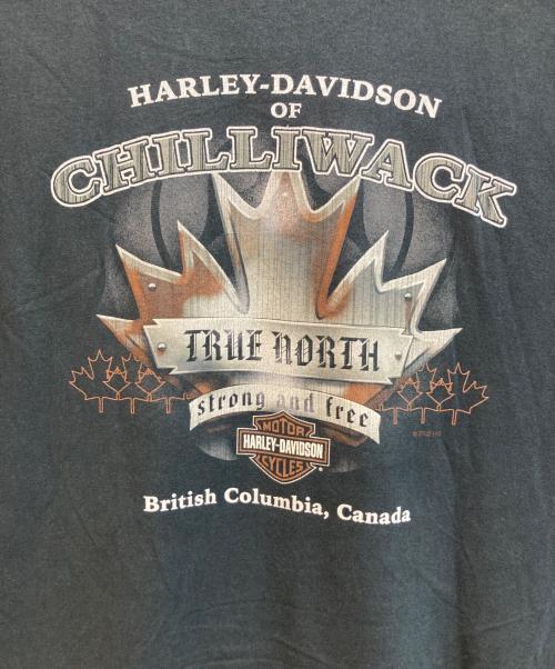 HARLEY-DAVIDSON（ハーレーダビッドソン）HARLEY-DAVIDSON (ハーレーダビッドソン) 00sプリントtシャツ ブラック サイズ:２XLの古着・服飾アイテム