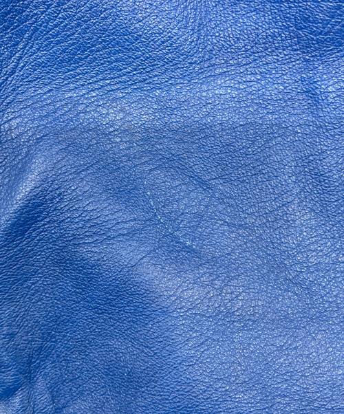 DIESEL（ディーゼル）DIESEL (ディーゼル) レザーナップサック ブラック×ブルー サイズ:-の古着・服飾アイテム