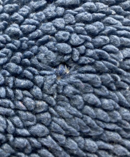 Patagonia（パタゴニア）Patagonia (パタゴニア) 90sベビーレトロカーディガン ネイビー サイズ:XLの古着・服飾アイテム