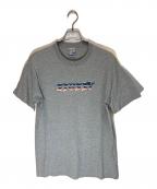 stussyステューシー）の古着「メタリックロゴtシャツ」｜グレー
