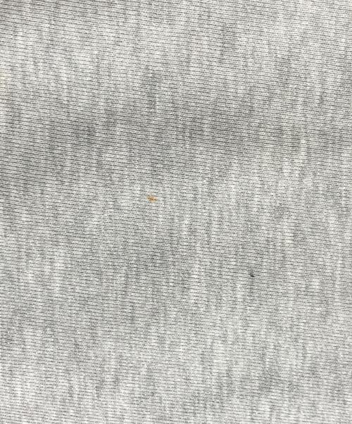 Champion（チャンピオン）Champion (チャンピオン) 三段プリントリバースウィーブスウェット グレー サイズ:Lの古着・服飾アイテム