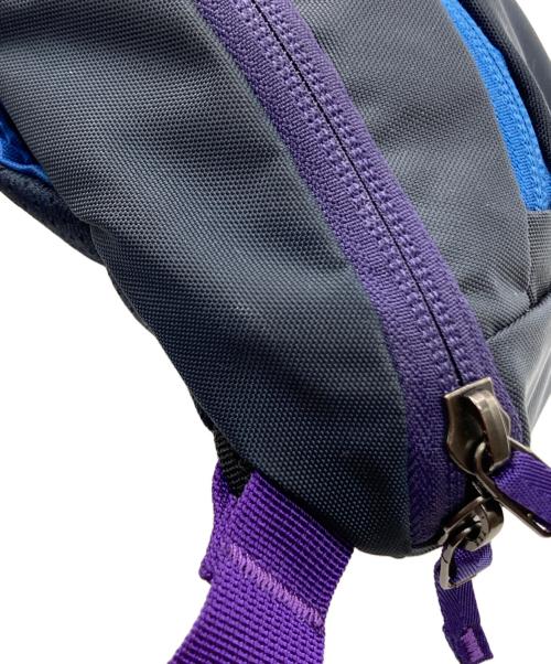 ARC'TERYX（アークテリクス）ARC'TERYX (アークテリクス) BEAMS BOY (ビームスボーイ) 別注MANTIS 1 WAISTPACK ネイビーの古着・服飾アイテム