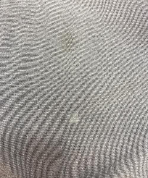 CarHartt（カーハート）CarHartt (カーハート) ペインターパンツ グレー サイズ:-の古着・服飾アイテム