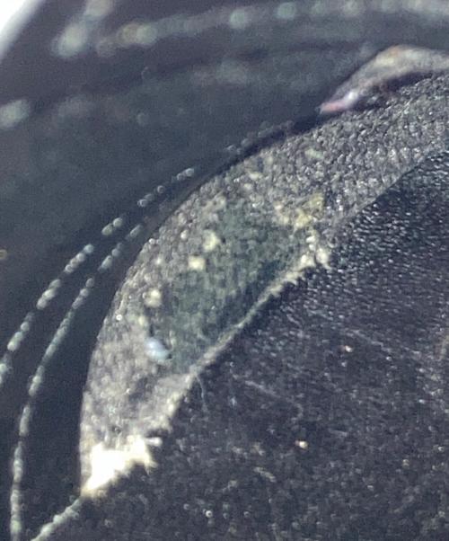 Dr.Martens（ドクターマーチン）Dr.Martens (ドクターマーチン) 1461 MONO 3ホールシューズ ブラック サイズ:SIZE 41の古着・服飾アイテム