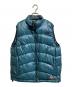THE NORTH FACE（ザ ノース フェイス）の古着「アコンカグアダウンベスト」｜グリーン
