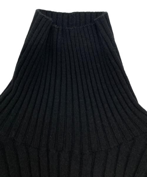 LE PHIL（ル フィル）LE PHIL (ル フィル) リブタートルネックニット ブラック サイズ:SIZE Freeの古着・服飾アイテム