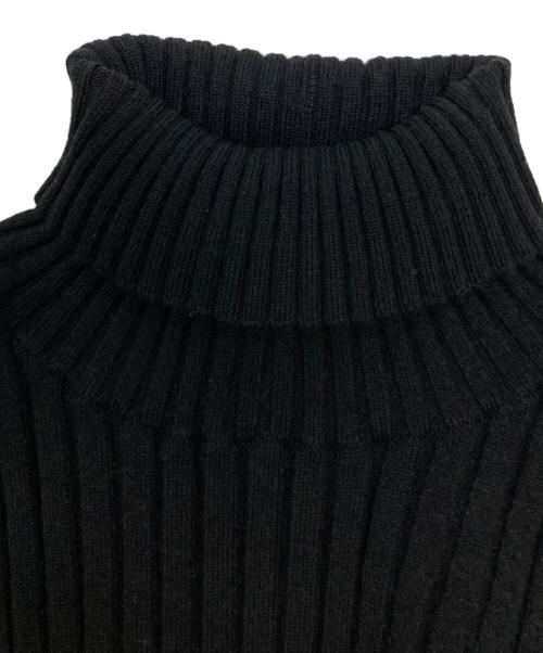 LE PHIL（ル フィル）LE PHIL (ル フィル) リブタートルネックニット ブラック サイズ:SIZE Freeの古着・服飾アイテム