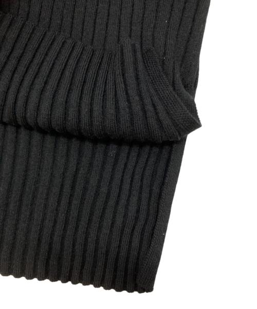 LE PHIL（ル フィル）LE PHIL (ル フィル) リブタートルネックニット ブラック サイズ:SIZE Freeの古着・服飾アイテム