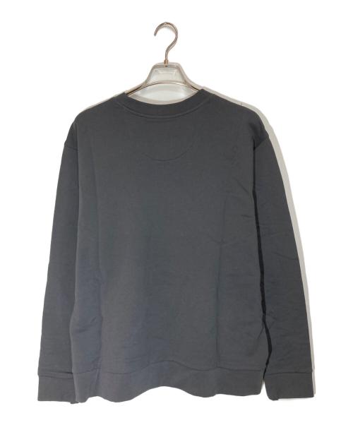 Patagonia（パタゴニア）Patagonia (パタゴニア) デイリー・クルーネック・スウェットシャツ グレー サイズ:SIZE Lの古着・服飾アイテム