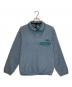 Patagonia（パタゴニア）の古着「スナップT プルオーバー」｜ブルー