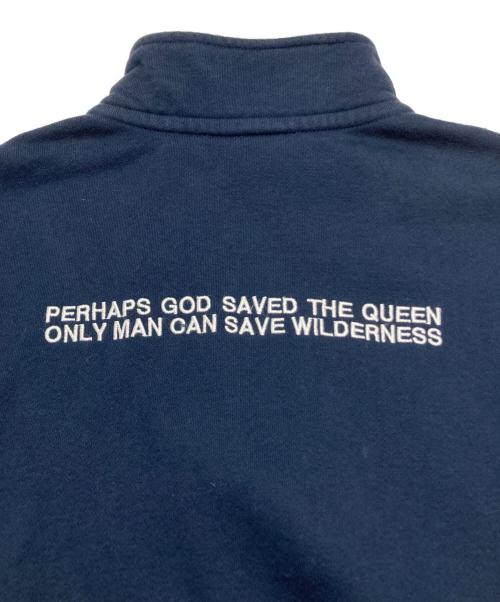 THE NORTH FACE（ザ ノース フェイス）THE NORTH FACE (ザ ノース フェイス) ALTERNATIVE Half Zip ネイビー サイズ:Sの古着・服飾アイテム