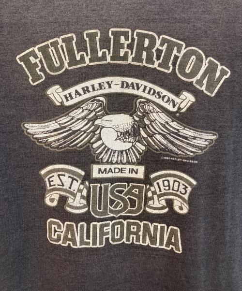HARLEY-DAVIDSON（ハーレーダビッドソン）HARLEY-DAVIDSON (ハーレーダビッドソン) ヴィンテージTシャツ ブラック サイズ:XLの古着・服飾アイテム