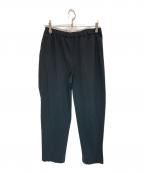 THE NORTH FACEザ ノース フェイス）の古着「Apex Relax PANT」｜グレー