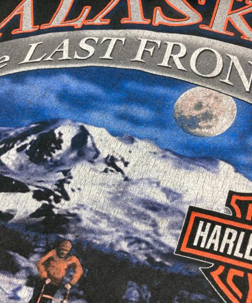 HARLEY-DAVIDSON（ハーレーダビッドソン）HARLEY-DAVIDSON (ハーレーダビッドソン) ロングスリーブカットソー ブラック サイズ:Ⅿの古着・服飾アイテム
