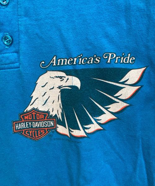 Hanes（ヘインズ）Hanes (ヘインズ) HARLEY-DAVIDSON (ハーレーダビッドソン) ヘンリーネックカットソー ブルー サイズ:Ⅿの古着・服飾アイテム