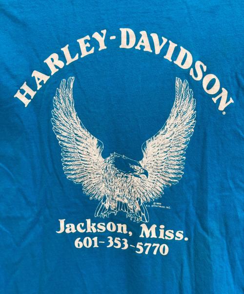 Hanes（ヘインズ）Hanes (ヘインズ) HARLEY-DAVIDSON (ハーレーダビッドソン) ヘンリーネックカットソー ブルー サイズ:Ⅿの古着・服飾アイテム