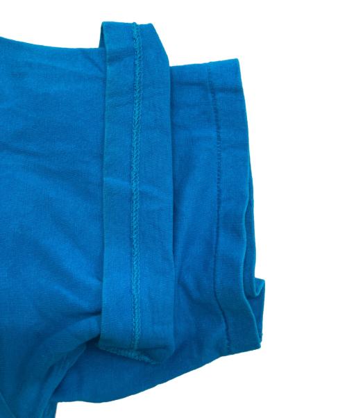 Hanes（ヘインズ）Hanes (ヘインズ) HARLEY-DAVIDSON (ハーレーダビッドソン) ヘンリーネックカットソー ブルー サイズ:Ⅿの古着・服飾アイテム
