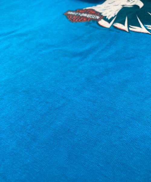 Hanes（ヘインズ）Hanes (ヘインズ) HARLEY-DAVIDSON (ハーレーダビッドソン) ヘンリーネックカットソー ブルー サイズ:Ⅿの古着・服飾アイテム