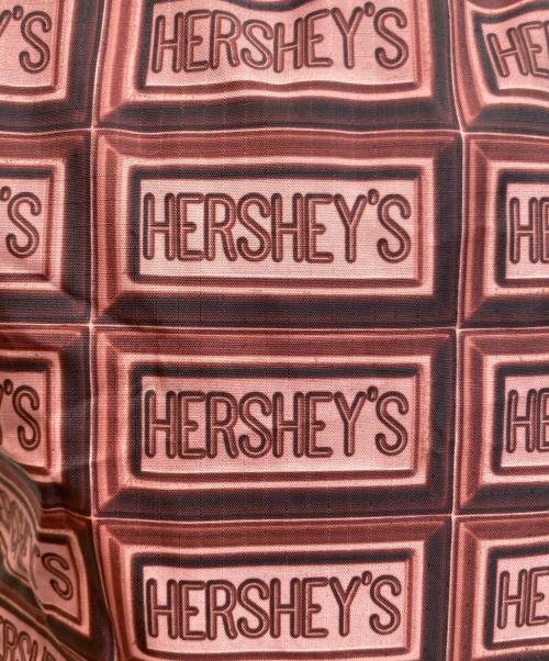 LeSportsac（レスポートサック）LeSportsac (レスポートサック) HERSHEY'S (ハーシーズ) チョコレート柄トートバッグ ブラウン サイズ:-の古着・服飾アイテム