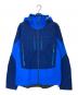 Patagonia（パタゴニア）の古着「トリオレット ジャケット」｜ブルー