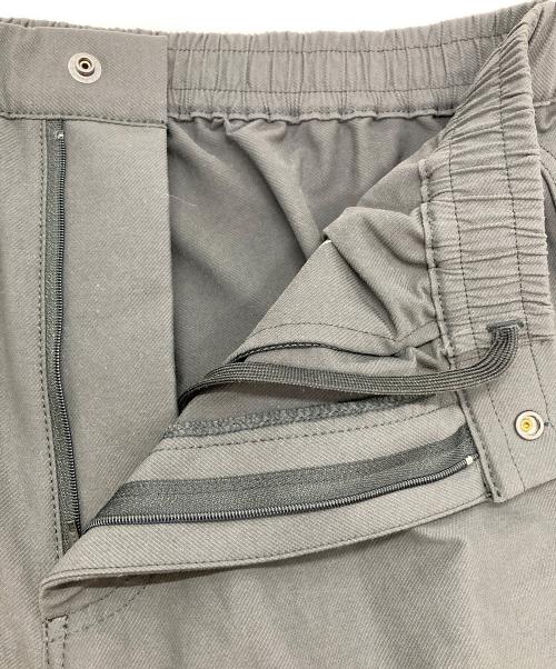 THE NORTH FACE（ザ ノース フェイス）THE NORTH FACE (ザ ノース フェイス) ハイカーズカーゴパンツ グレー サイズ:SIZE Lの古着・服飾アイテム