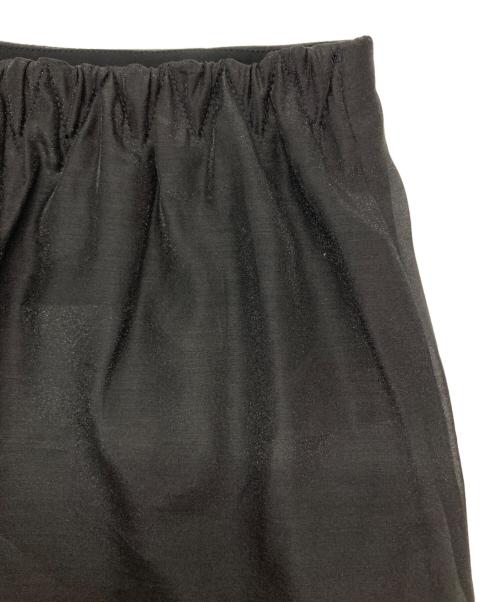 THE PERMANENT EYE（ザ パーマネント アイ）THE PERMANENT EYE (ザ パーマネント アイ) Sheer A line skirt ブラック サイズ:1の古着・服飾アイテム