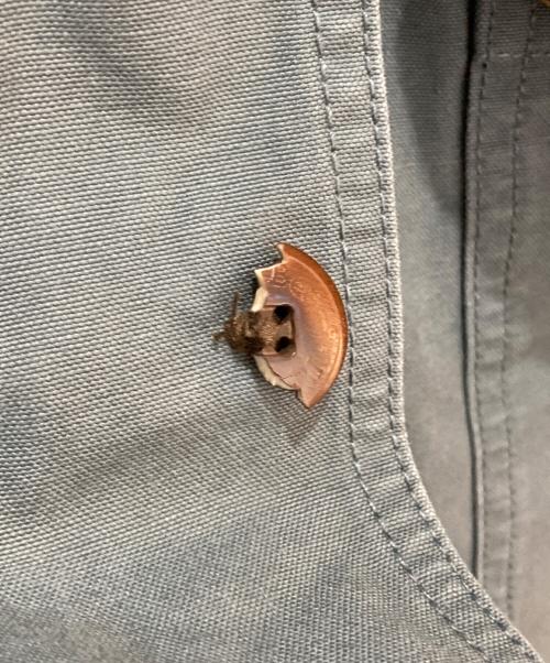 L.L.Bean（エルエルビーン）L.L.Bean (エルエルビーン) 企業ロゴワークジャケット ネイビー サイズ:Lの古着・服飾アイテム