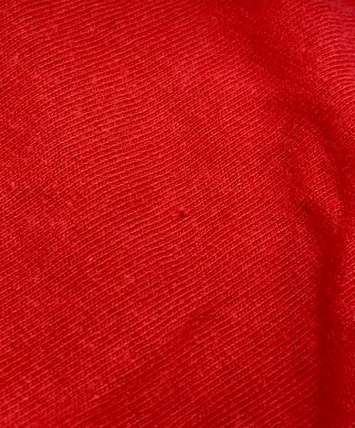 Hanes（ヘインズ）Hanes (ヘインズ) 90sプリントカットソー レッド サイズ:XLの古着・服飾アイテム