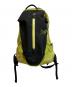 ARC'TERYX（アークテリクス）の古着「ARRO 16 BACKPACK」｜Lampyre