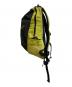ARC'TERYX (アークテリクス) BEAMS (ビームス) ARRO 16 BACKPACK Lampyre サイズ:-：19000円