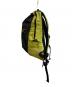 ARC'TERYX (アークテリクス) BEAMS (ビームス) ARRO 16 BACKPACK Lampyre サイズ:-：19000円