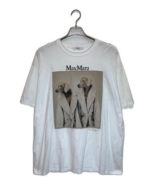 MaxMara（マックスマーラ）MaxMara (マックスマーラ) TACCOウェグマンプリントドッグ半袖Ｔシャツ ホワイト サイズ:Sの古着・服飾アイテム